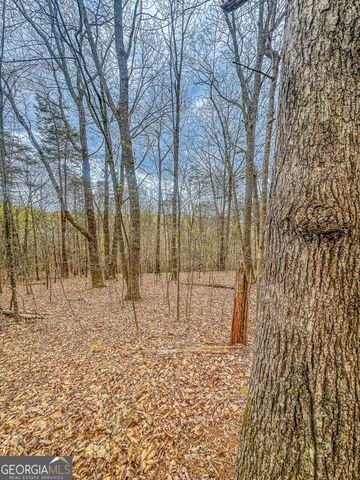 0 Green Meadows, Dahlonega, GA 30533