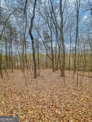 0 Green Meadows, Dahlonega, GA 30533