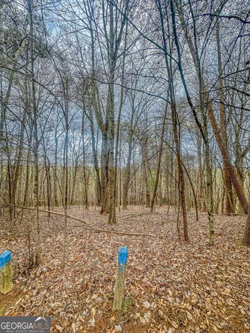 0 Green Meadows, Dahlonega, GA 30533