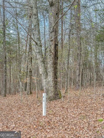 0 Green Meadows, Dahlonega, GA 30533