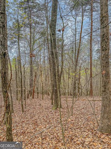 0 Green Meadows, Dahlonega, GA 30533