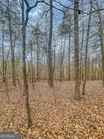 0 Green Meadows, Dahlonega, GA 30533