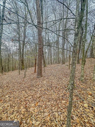 0 Green Meadows, Dahlonega, GA 30533