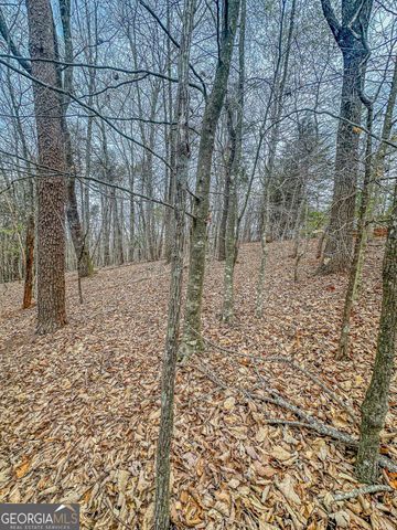 0 Green Meadows, Dahlonega, GA 30533
