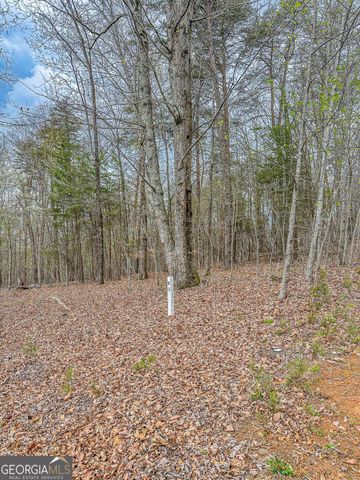 0 Green Meadows, Dahlonega, GA 30533