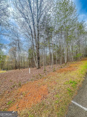 0 Green Meadows, Dahlonega, GA 30533