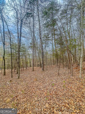 0 Green Meadows, Dahlonega, GA 30533