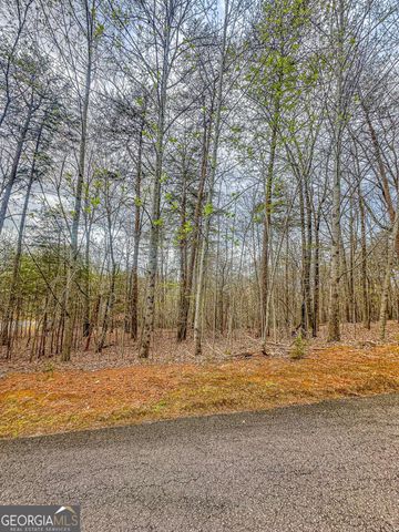 0 Green Meadows, Dahlonega, GA 30533