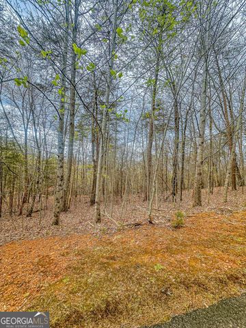 0 Green Meadows, Dahlonega, GA 30533