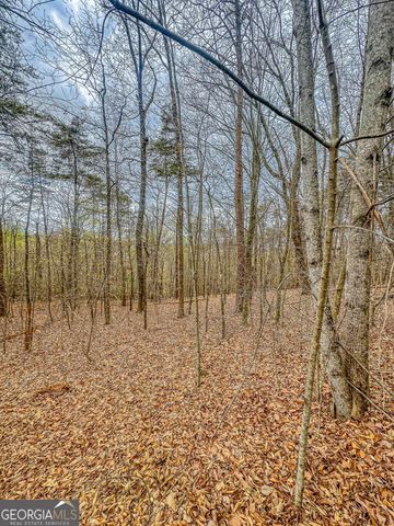 0 Green Meadows, Dahlonega, GA 30533
