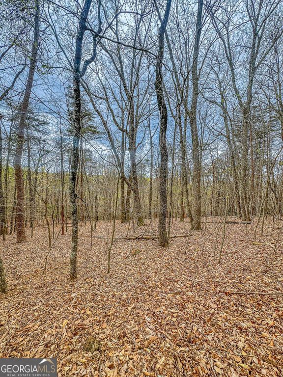 0 Green Meadows, Dahlonega, GA 30533