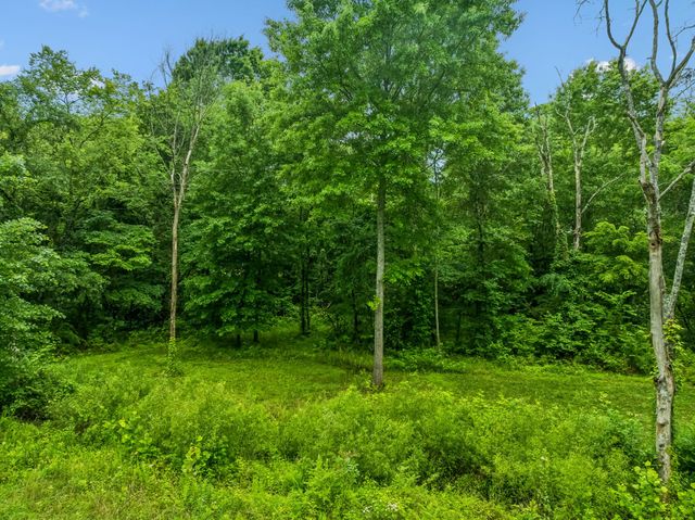 280 Kingdom Rd, Unionville, TN 37180