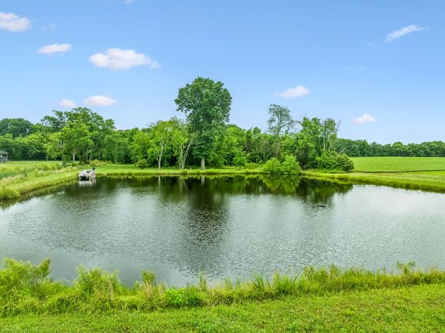 280 Kingdom Rd, Unionville, TN 37180