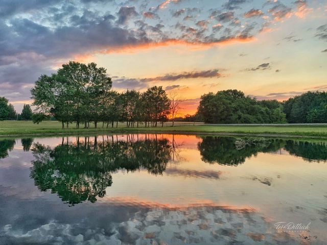 280 Kingdom Rd, Unionville, TN 37180