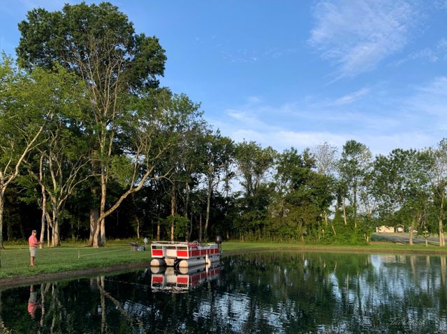 280 Kingdom Rd, Unionville, TN 37180