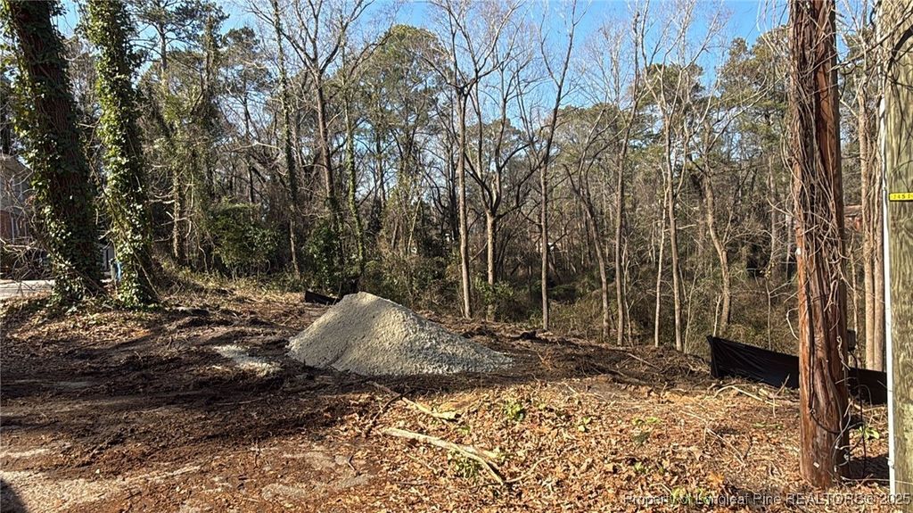 911 Lewis Street, Fayetteville, NC 28303 — photo 3