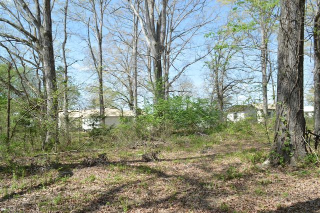 158 Needle Eye Lane, Delano, TN 37325