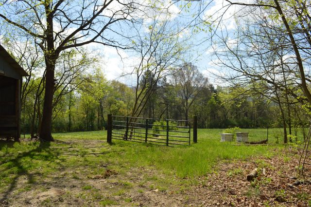 158 Needle Eye Lane, Delano, TN 37325
