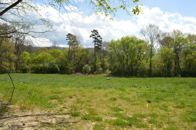 158 Needle Eye Lane, Delano, TN 37325