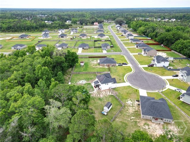 168 Halcyon Way, Ludowici, GA 31316