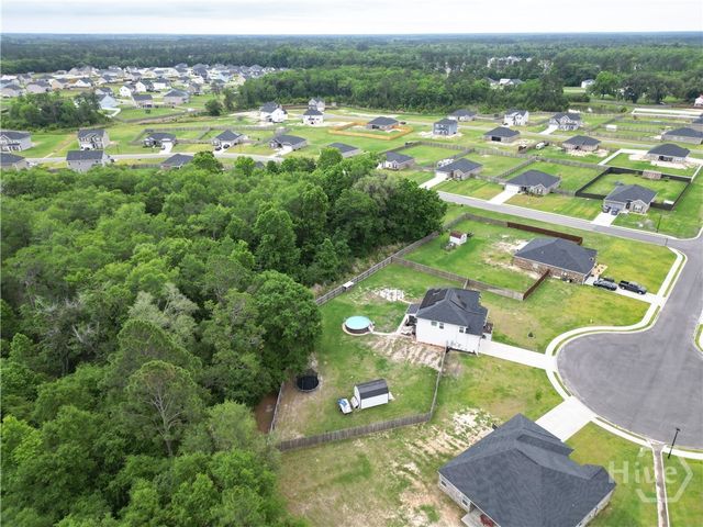 168 Halcyon Way, Ludowici, GA 31316