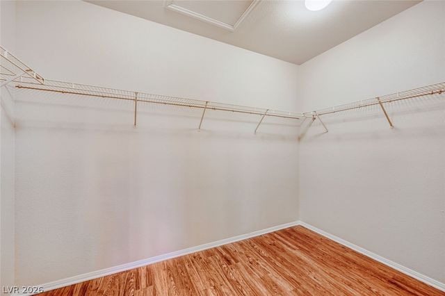 212 Purple Passion Avenue, North Las Vegas, NV 89032