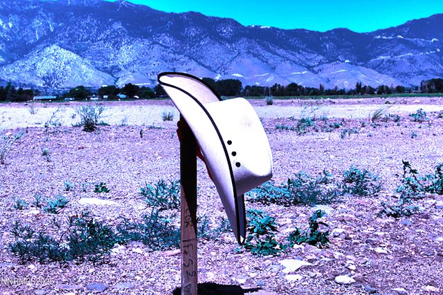 1112 Wyatt Lane, Gardnerville, NV 89460