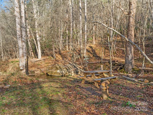 23 Katies Road 145.95 acres, Marshall, NC 28753