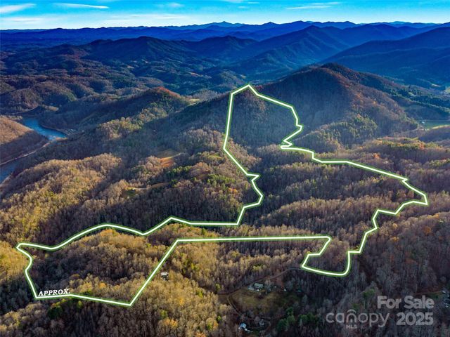 23 Katies Road 145.95 acres, Marshall, NC 28753