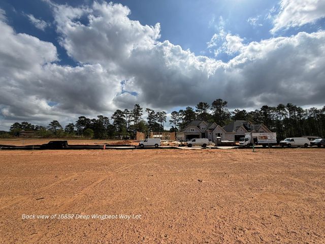 16852 Deep Wingbeat Way, Magnolia, TX 77354