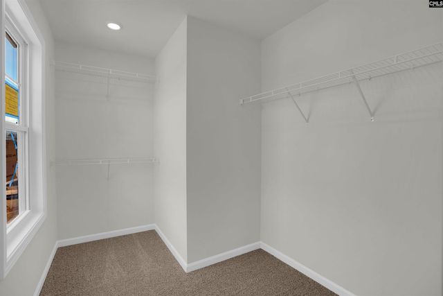 230 Caballeros Trail, Prosperity, SC 29127