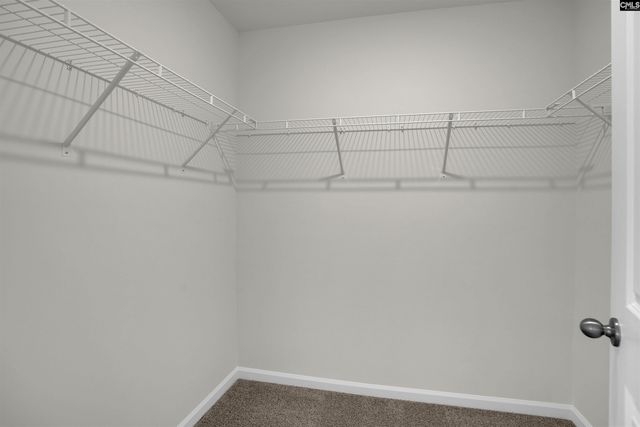 230 Caballeros Trail, Prosperity, SC 29127