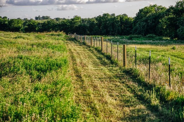 Tract 3 Pleasant Hill School Road, Brenham, TX 77833