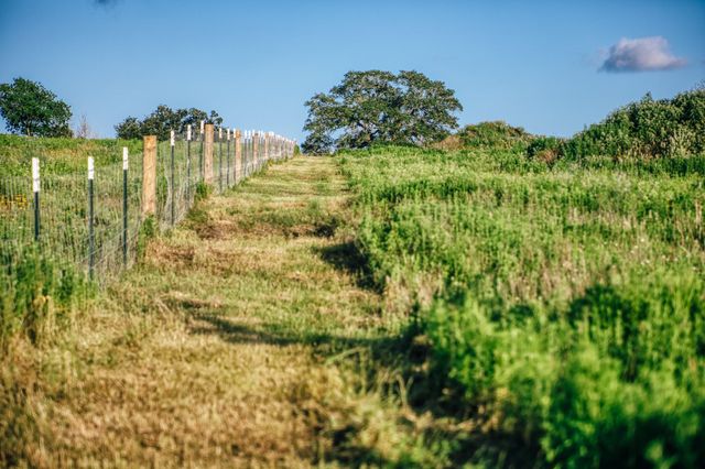 Tract 3 Pleasant Hill School Road, Brenham, TX 77833