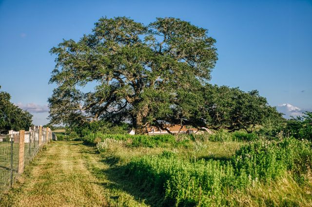 Tract 3 Pleasant Hill School Road, Brenham, TX 77833