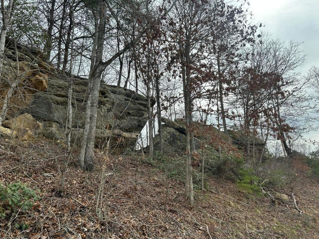 151 Walter Crabtree Road, Pine Knot, KY 42635