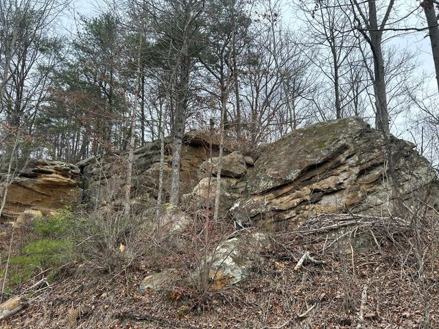 151 Walter Crabtree Road, Pine Knot, KY 42635