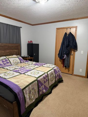 460 E Ellsworth Street, Bellevue Village, MI 49021