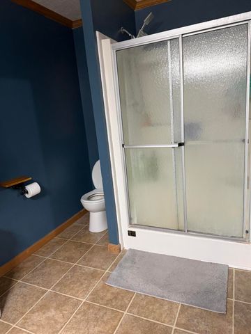 460 E Ellsworth Street, Bellevue Village, MI 49021