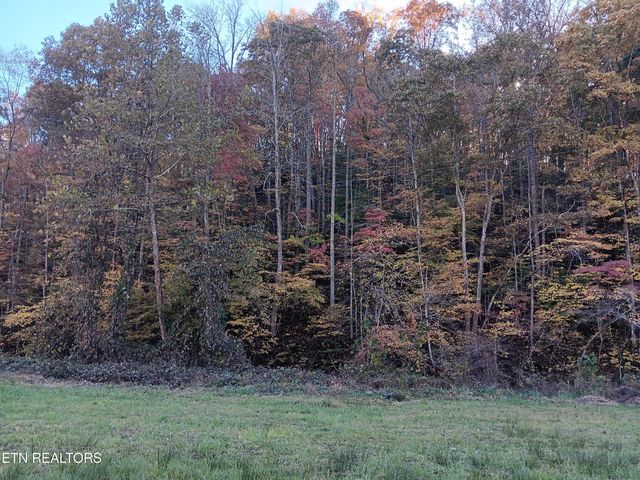 8845 Highway 66, Sneedville, TN 37869