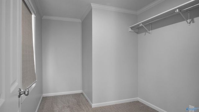 1244 Brandywine Court, Decatur, AL 35601