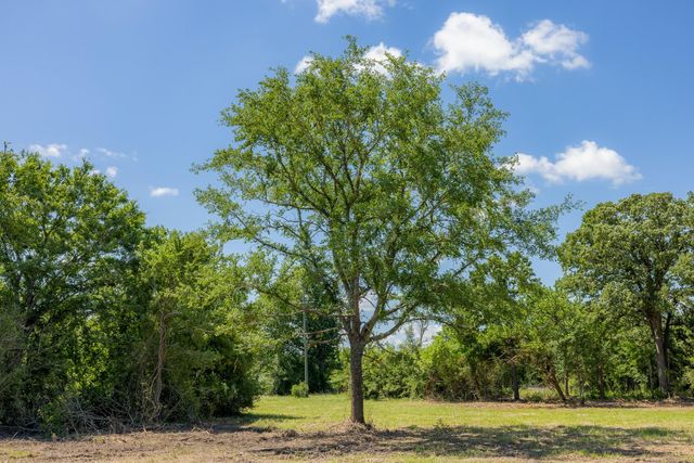 6512 Atakapan Trail, Bedias, TX 77831