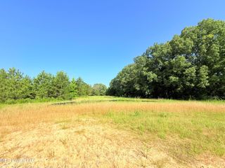 Stout Meadows Lane, Madison, MS 39110