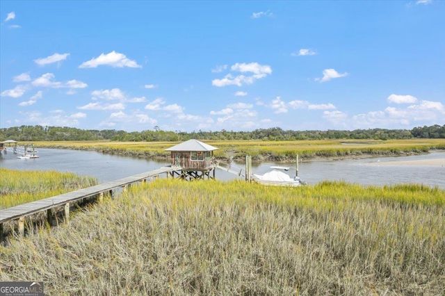 1579 NE Julienton Drive, Townsend, GA 31331