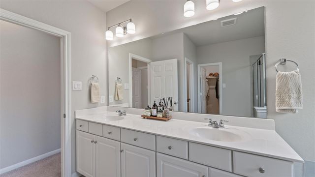 21407 Loblolly View Lane, Waller, TX 77484