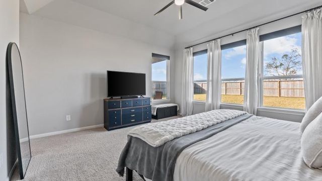 21407 Loblolly View Lane, Waller, TX 77484