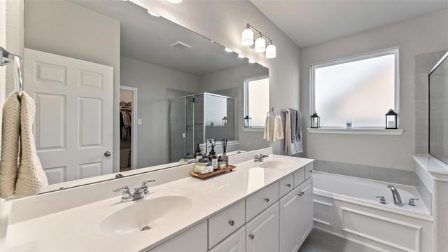 21407 Loblolly View Lane, Waller, TX 77484