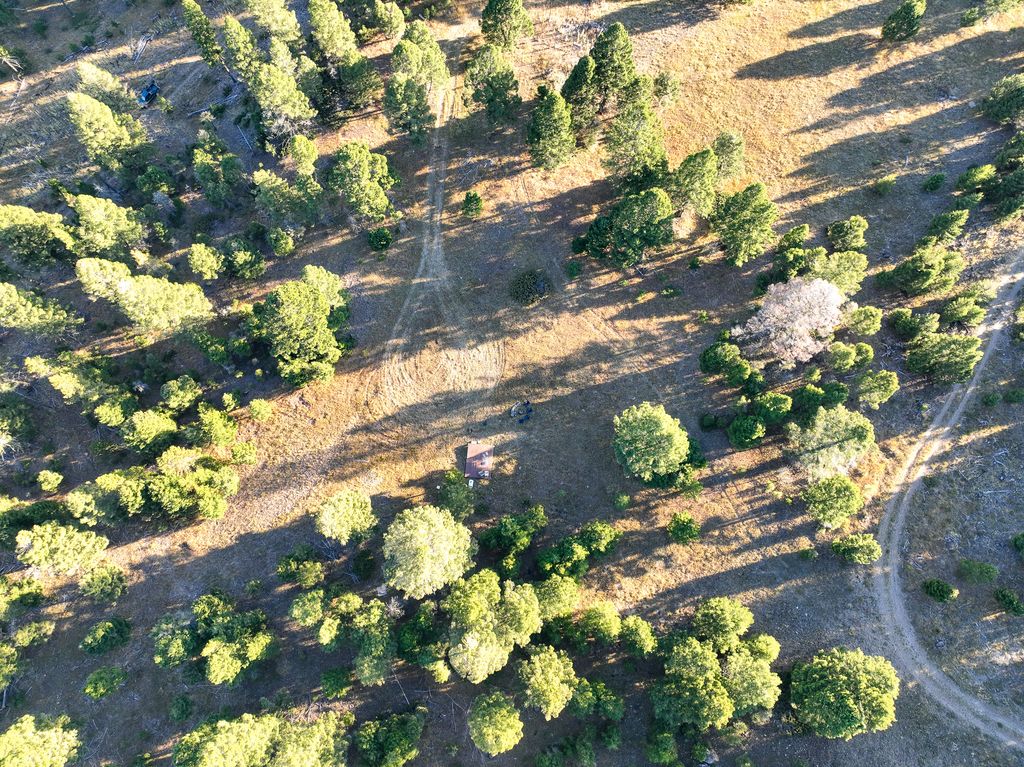 ~38.6 Acres Slate Road, Helmville, MT 59843 photo 5