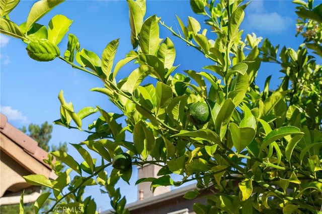 28889 Edenton Way, Temecula, CA 92591