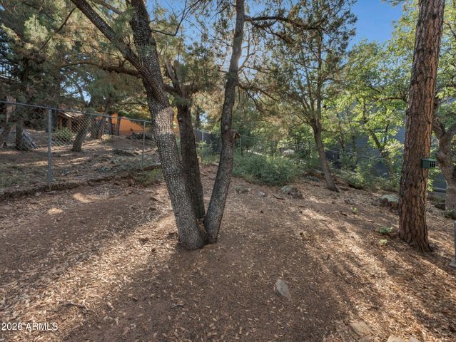 6829 W ROBBIN Lane, Pine, AZ 85544